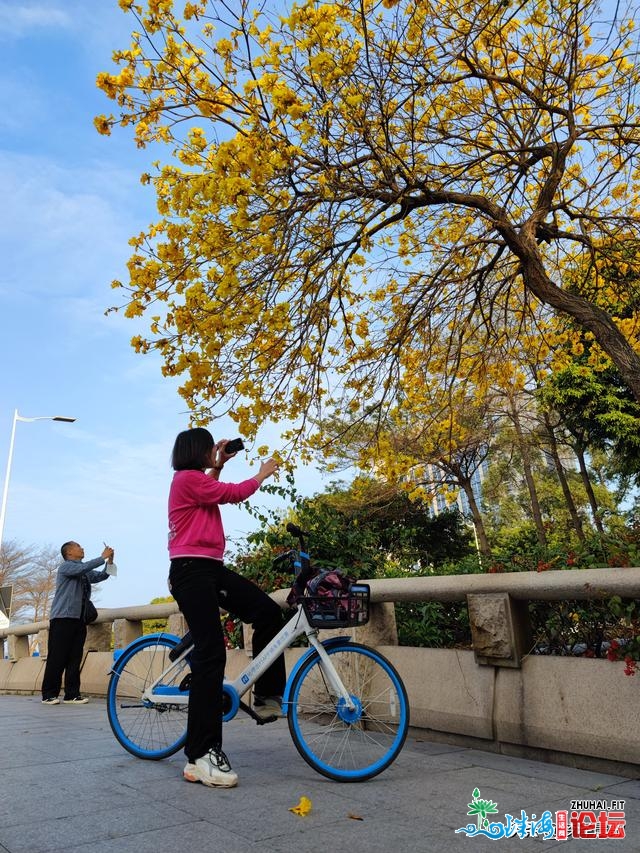 广州，珠江好景看不敷