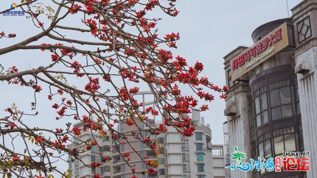 好了好了，珠海