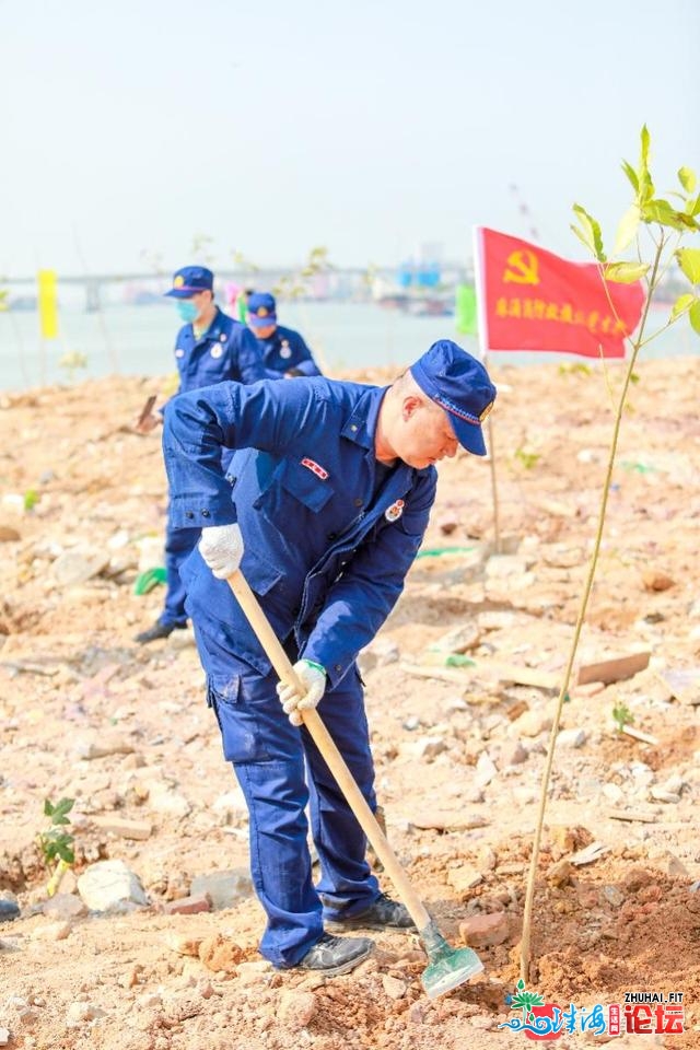 为城市添新绿，东莞未来3年将种植10万株开花乔木