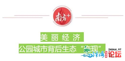 南方观察 | 4年336万人次植树，738万株树苗给珠海带来了什...