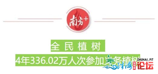 南方观察 | 4年336万人次植树，738万株树苗给珠海带来了什...