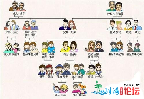 中山支属车典质分类图