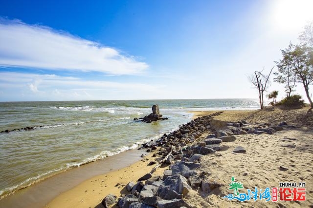 泪火从嘴角流下！搅动海峡风云的菠萝，正在广东竟然以“...