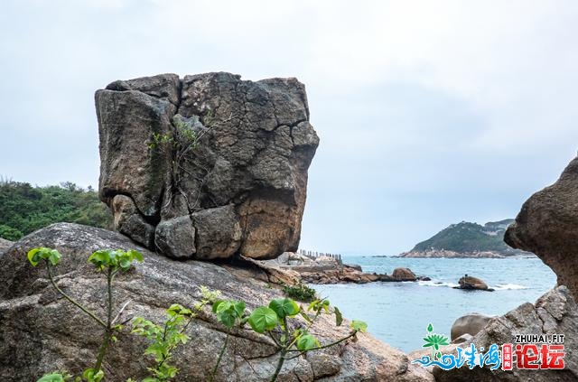 快速阅读东澳岛