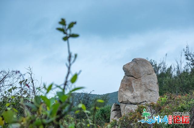 快速阅读东澳岛