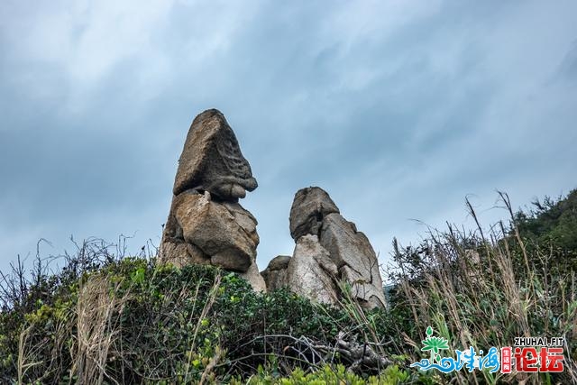 快速阅读东澳岛