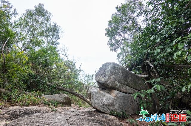 快速阅读东澳岛