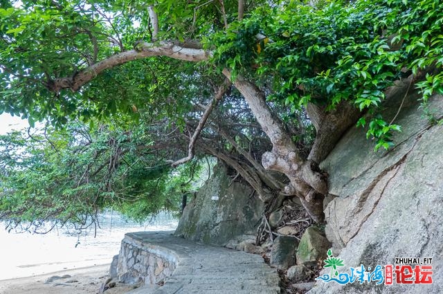 快速阅读东澳岛