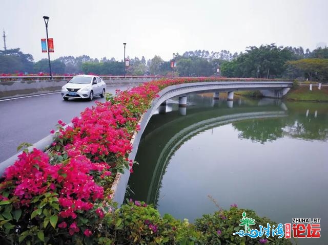 东莞那些“花瀑布”躲没有住了！“白色少廊”战“奥秘幽...