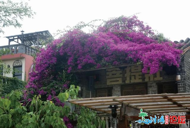 东莞那些“花瀑布”躲没有住了！“白色少廊”战“奥秘幽...