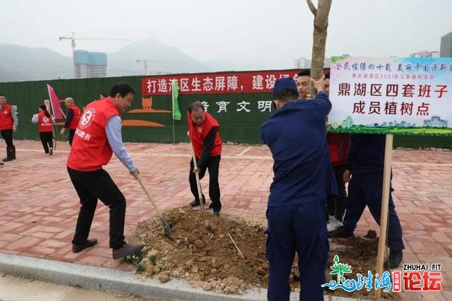 「一周文化播报」拥抱春季播种绿色！肇庆各天纷繁面明...