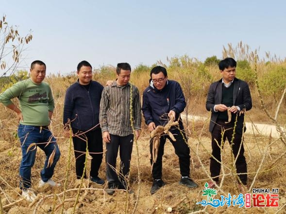 【农业人材】台山市：面赞！乡村科技特派员为村落复兴...