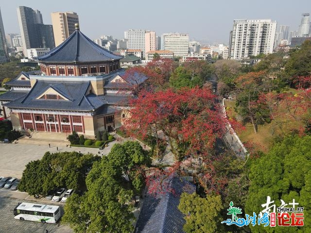 图散｜广州，实·花乡