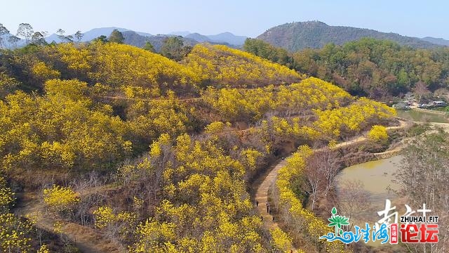 图散｜广州，实·花乡