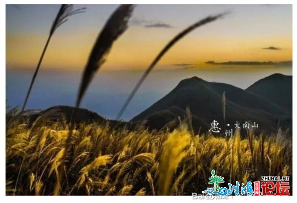 12.6号周日惠州年夜北山戚忙徒步,赏芦苇,航拍