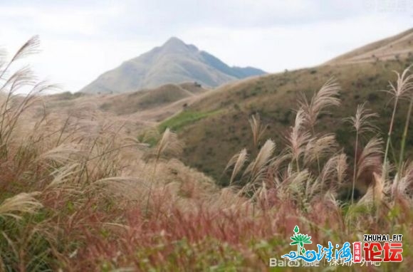 12.6号周日惠州年夜北山戚忙徒步,赏芦苇,航拍