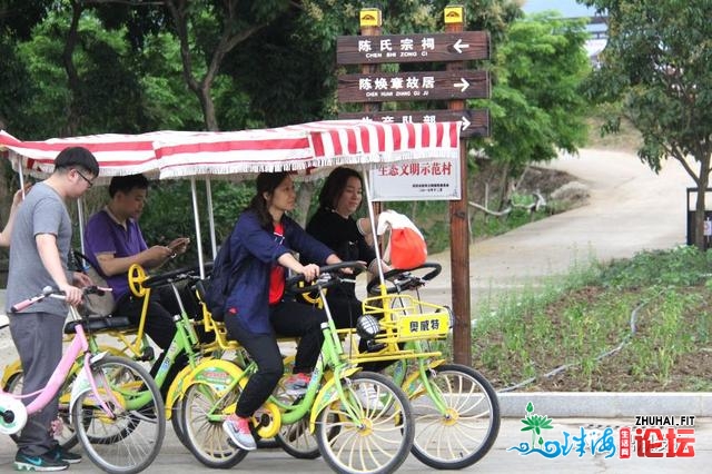 在肇庆，有这样一个小岛！藏着这些惊喜～