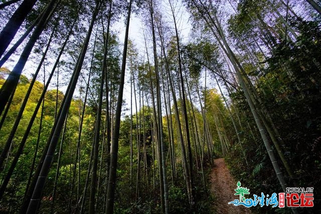 广东惠州的躲世黑托邦，泡绝壁温泉，游北昆山天国顶，...