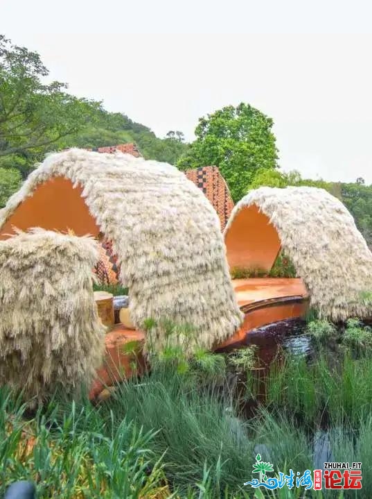 2021粤港澳年夜湾区深圳花展正式落幕！7.1万仄花海等您去