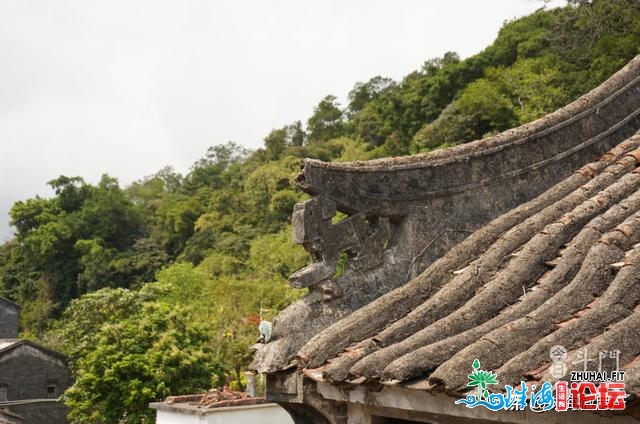 免费！去斗门的“世中桃源”！伴孩子踩青、农耕、探秘...