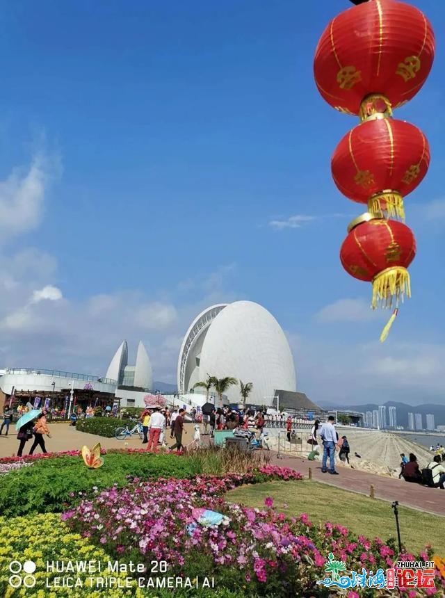 狮子取家狸的传道归纳着日月贝的出色取浪漫