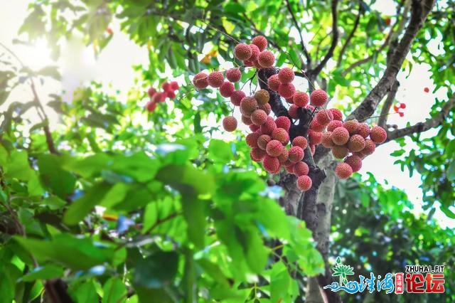 必然会“粤”去“粤”好