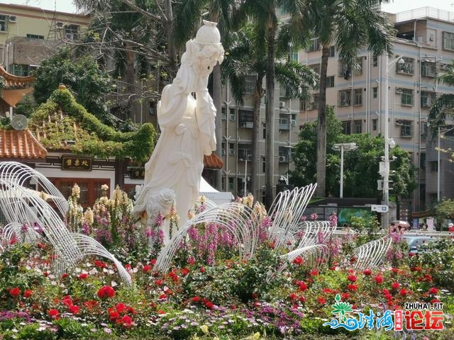 十丈软红 百闻没有如一睹 粤港澳年夜湾区深圳花展散锦-4.jpg