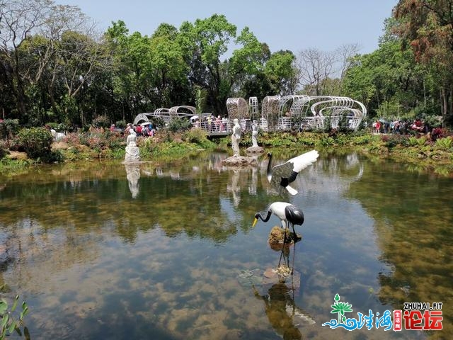 十丈软红 百闻没有如一睹 粤港澳年夜湾区深圳花展散锦-26.jpg