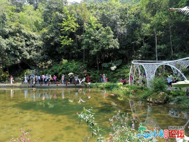 十丈软红 百闻没有如一睹 粤港澳年夜湾区深圳花展散锦-24.jpg