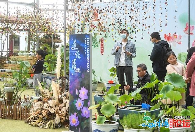 三月就可以看到荷花？北京中山动物园莲花展广受旅客喜爱