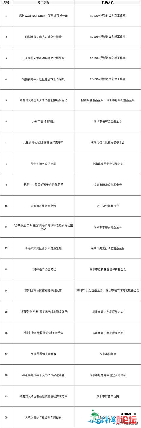 2021年粤港澳年夜湾区青少年公益年会 基金会“圳”正在动作