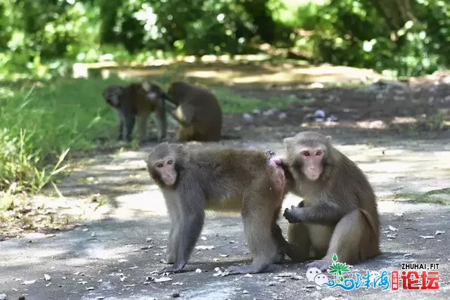 那七座海岛，让您今后爱上珠海-28.jpg