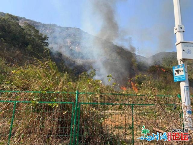 查明！深圳年夜北山山水系报酬放火，闭于怀疑人有更多表露......-5.jpg