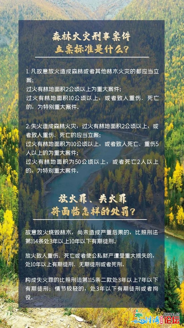 查明！深圳年夜北山山水系报酬放火，闭于怀疑人有更多表露......-7.jpg