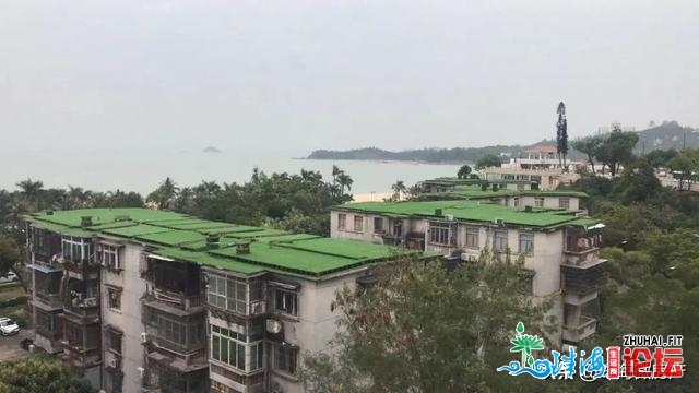 珠海那个小区，楼顶居然少出了“绿草天”？-9.jpg