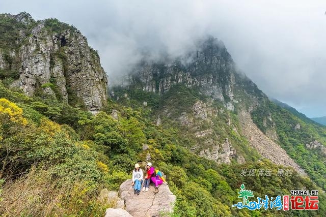 几棵妖素尽好绝壁杜鹃，竟吸收了数万广东驴友前往欣赏