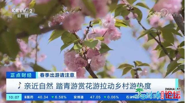 各天赏花合理时，“十丈软红”哪家强？