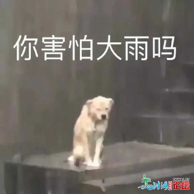 雷暴+7级年夜风！东莞将来一周或将雨҈雨҈雨҈雨҈雨҈……