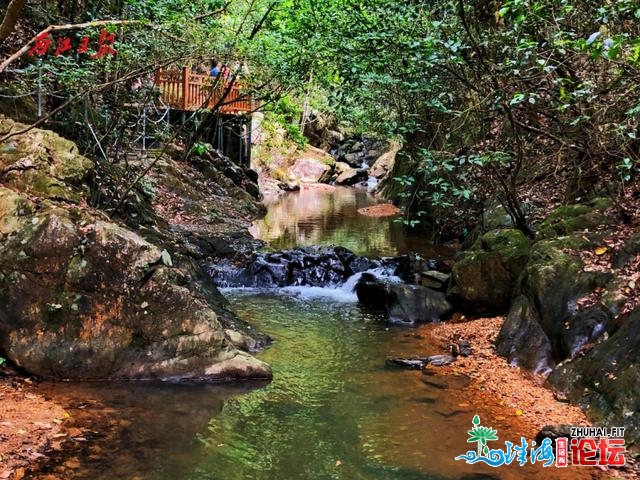 沿着千里旅游年夜环线游肇庆！一同玩转鼎湖