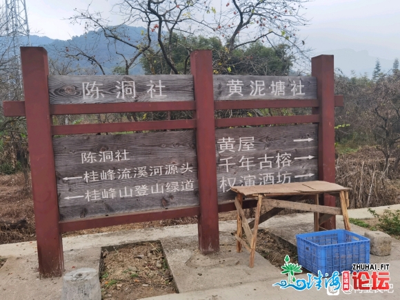 一小我私家止走广州从化桂峰山,雨天起年夜雾霾山顶有面差别