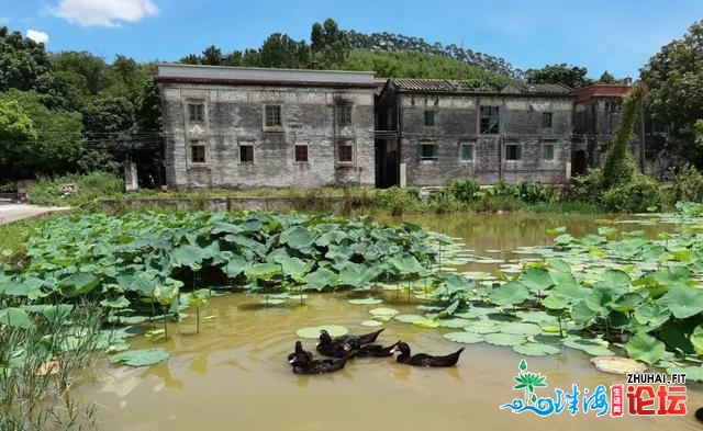 广东台山古船岛客居，觅味三泉湾、挨卡靖安村、安步海...