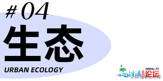 那里是珠海，我们用52张照片记载远一年的故事