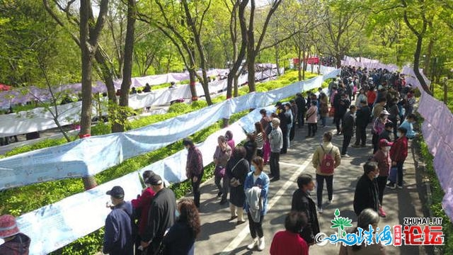 人愈来愈多！航拍三月三千佛山相亲会，浩瀚市平易近去觅缘