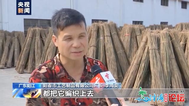 齐心奔小康丨广东阳秋：荒天上的家竹林 成了外洋客户的...