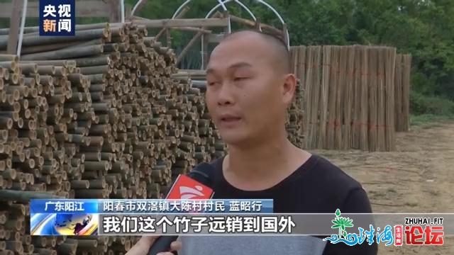 齐心奔小康丨广东阳秋：荒天上的家竹林 成了外洋客户的...