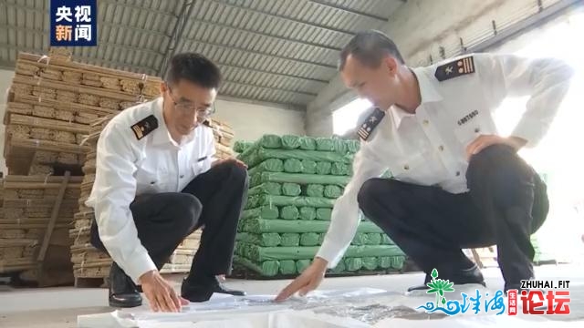 齐心奔小康丨广东阳秋：荒天上的家竹林 成了外洋客户的...