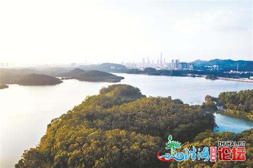 东莞市火务局回应火净化整治：建立斑斓河湖 挨制亲火死...