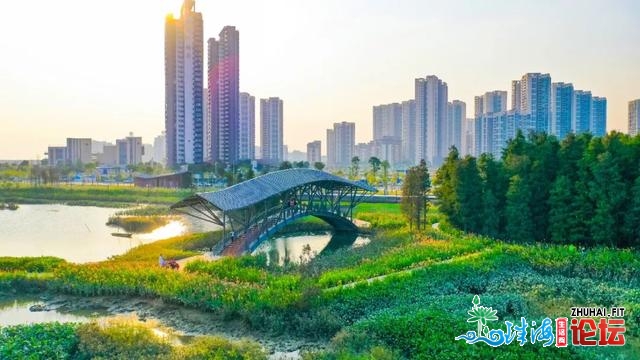 定了，珠海再建一个“日月贝”！又一天标降生