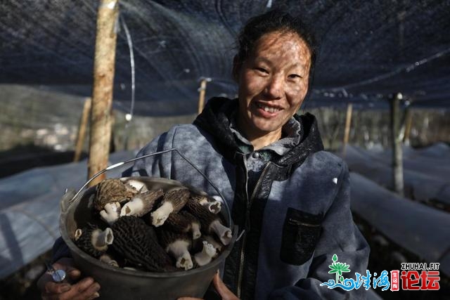 年夜湾风：脱贫攻脆，珠海那份“江海密意”轻飘飘