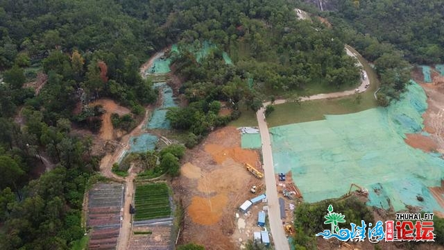 为萤水虫留住一片荒原！|珠海市当局邀多圆谈判共商女童...